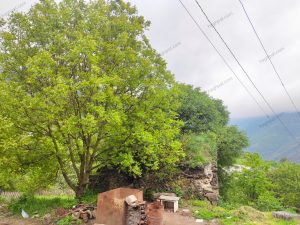 Զորավանք եկեղեցի