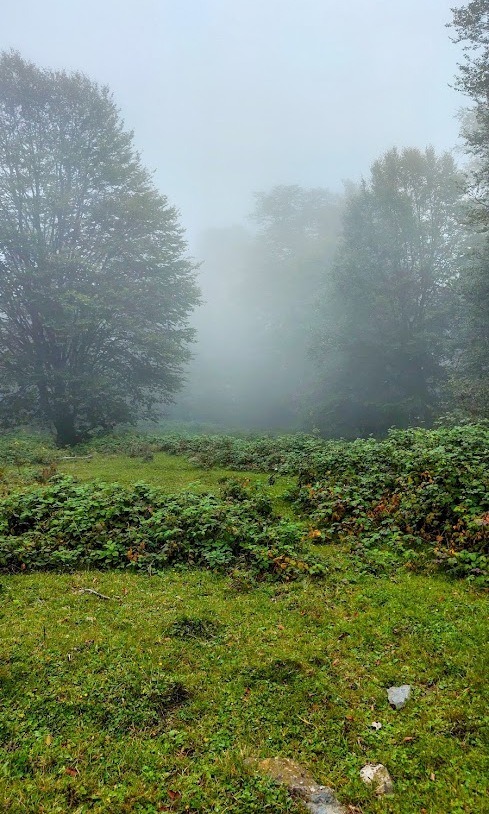 Սուրբ լույս լեռան արահետ