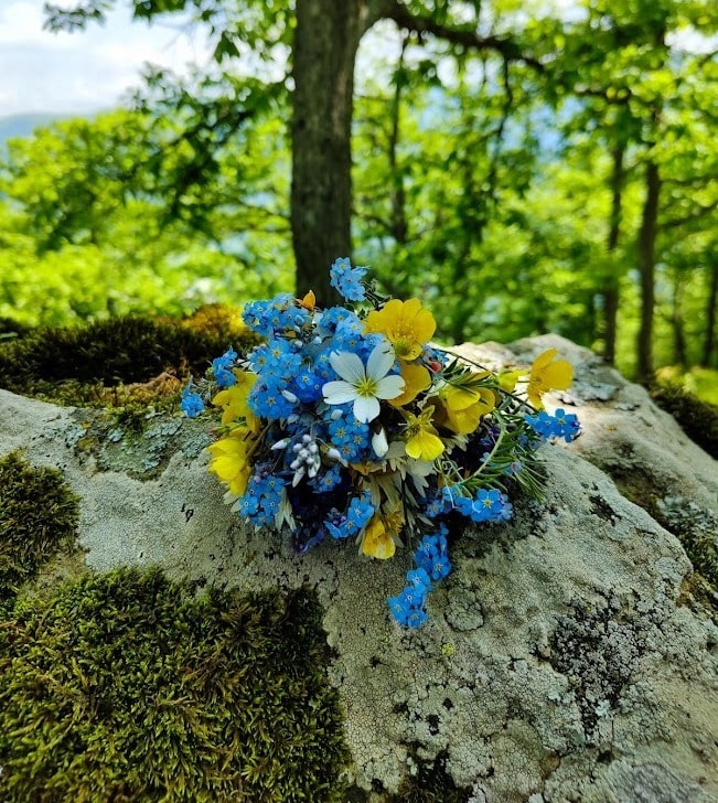 Սուրբ Լույս լեռ, Ծաղկաշատ