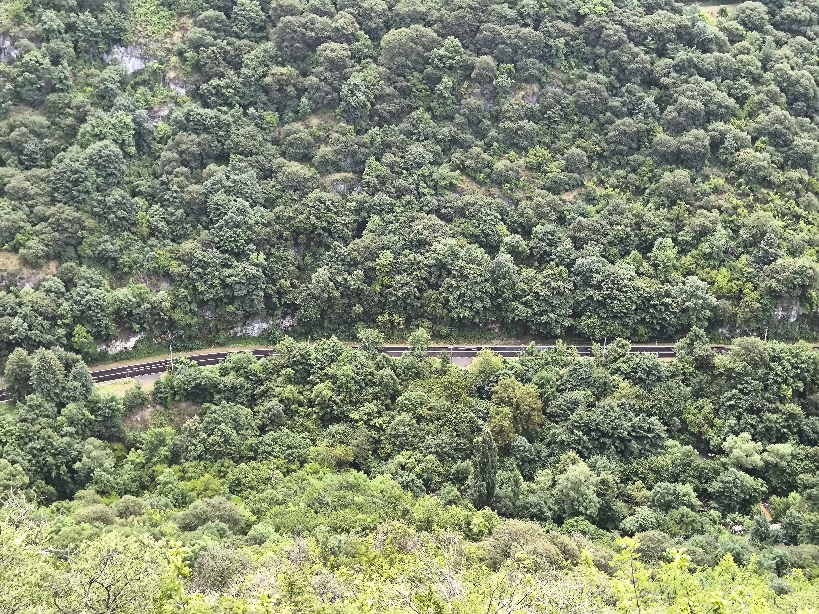 Հաղպատի ձորը և Հաղպատ գյուղ տանող ճանապարհը